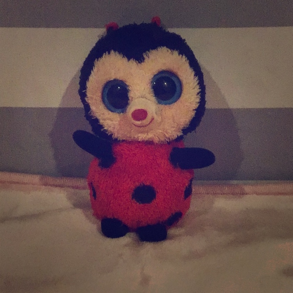 Cute ladybug beanie boo 🐞🧸